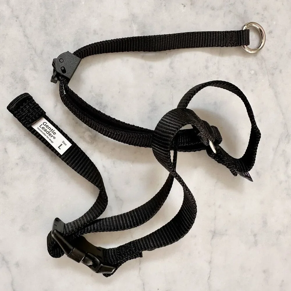Gentle Leader Headcollar Large Black Dog Training Head Collar PetSafe 60-130 lbs